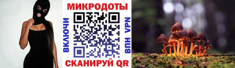 Псилоцибиновые грибы Cubensis  Купить закладки  Городец 